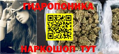 индика Ирбит