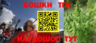 индика Ирбит