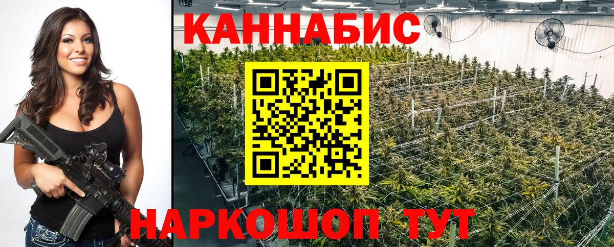Конопля план Казань